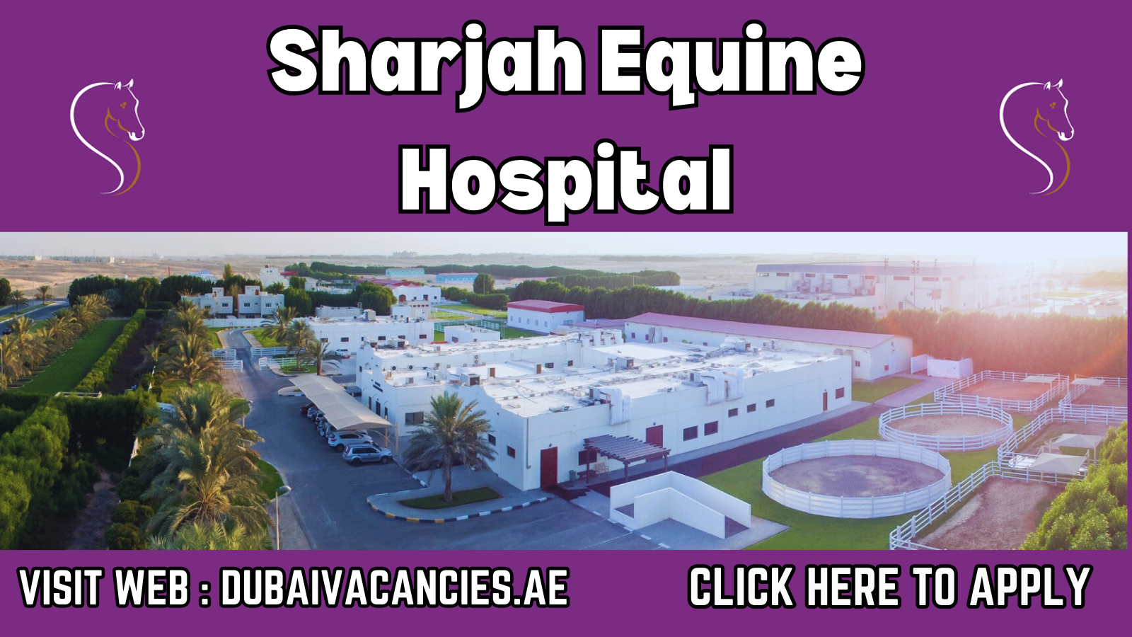 Sharjah Equine Hospital Careers 