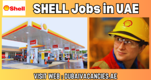 SHELL Jobs in UAE