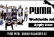 Puma Careers
