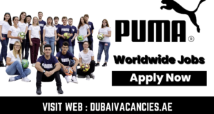 Puma Careers