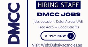 DMCC Jobs