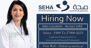 Abu Dhabi Health Services Seha Jobs