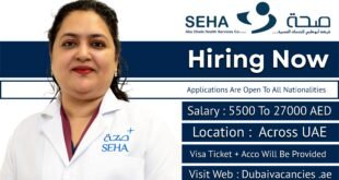 Abu Dhabi Health Services Seha Jobs