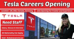 Tesla Careers
